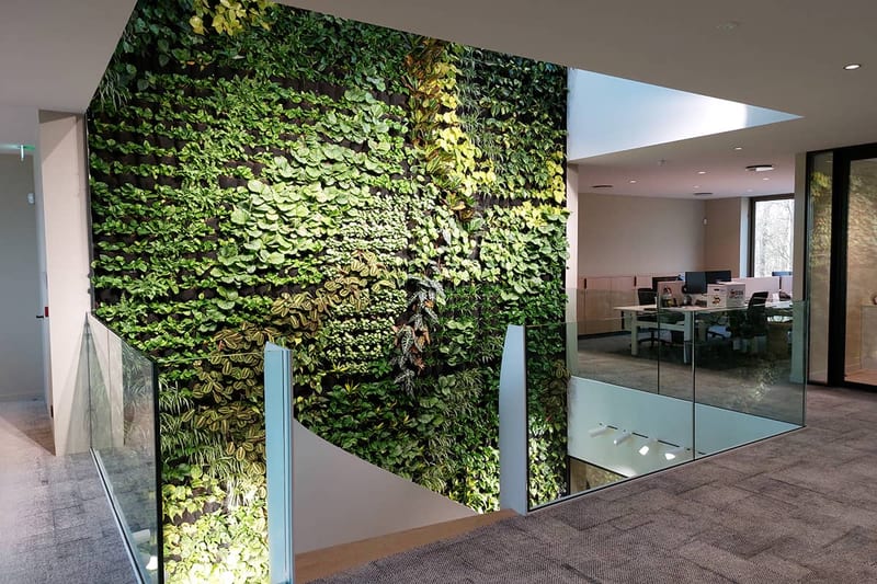 Levende wand in een kantoor bij Bestanden Offices.