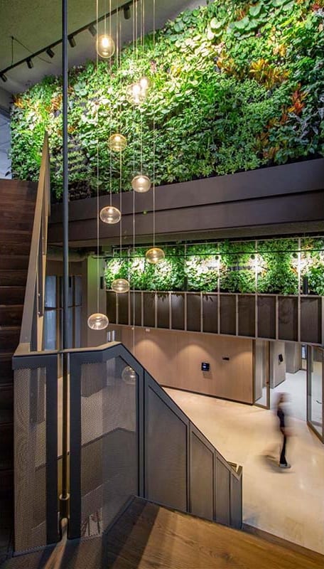 Levende wand met trap bij B Tower Office.