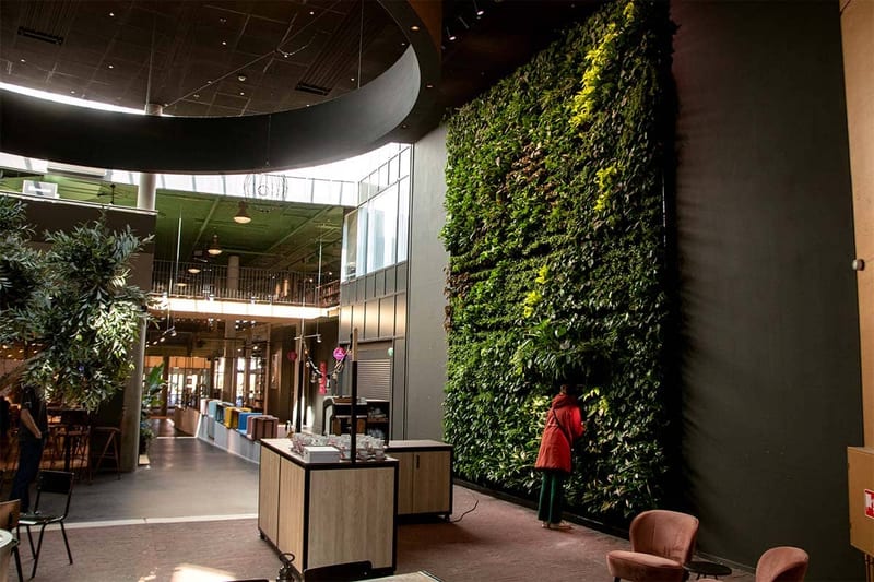 Manshoge levende wand in een cultureel centrum in Ede.